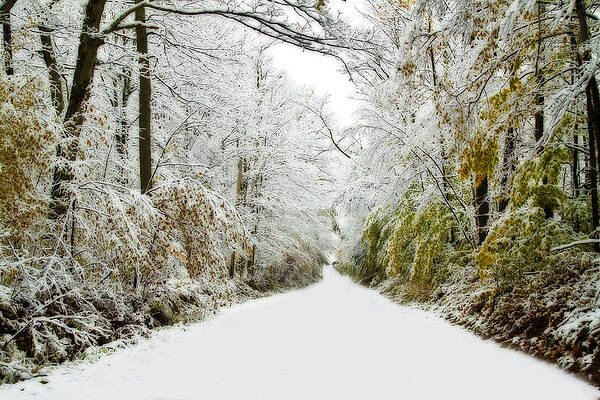 Snowy Day In October by David Simons