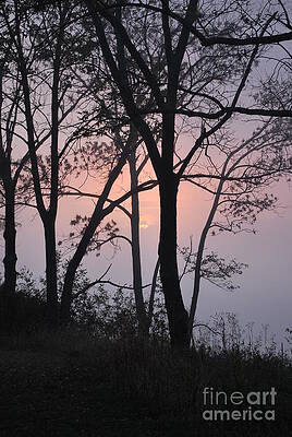Soft Awakening by Pamela Baker Soft Awakening by Pamela Baker