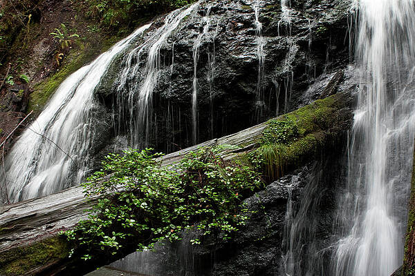 Wall Art - Photograph - Soft Falls of Mendocino by Lorraine Devon Wilke