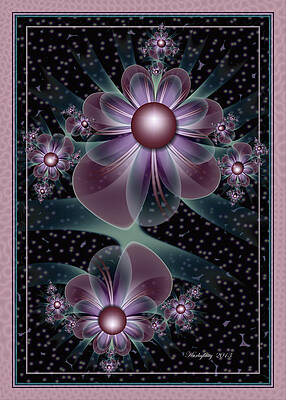 Soft Illusion by Karla White Soft Illusion by Karla White