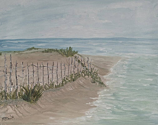 Soft Sea by Barbara McDevitt Soft Sea by Barbara McDevitt