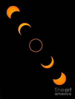 Wall Art - Photograph - Solar Annular Eclipse by Francois Gohier