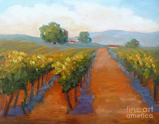 Sonoma Vineyard by Carolyn Jarvis Sonoma Vineyard by Carolyn Jarvis