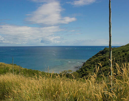 South Pacific - Fiji by David Danz