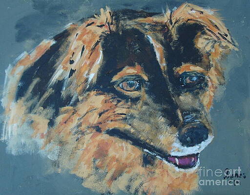 Spaniel Mix by Shelley Jones Spaniel Mix by Shelley Jones