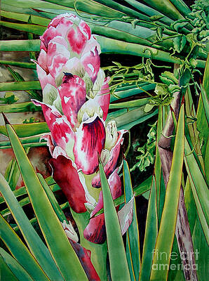 Spanish Dagger III by Kandyce Waltensperger Spanish Dagger III by Kandyce Waltensperger