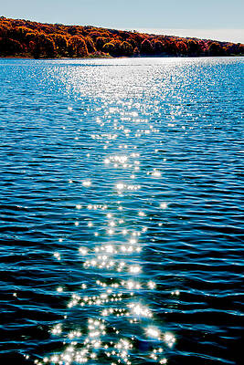 Sparkling by Greg Fortier Sparkling by Greg Fortier