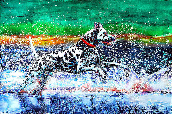 Sparky by Xavier Francois Sparky by Xavier Francois