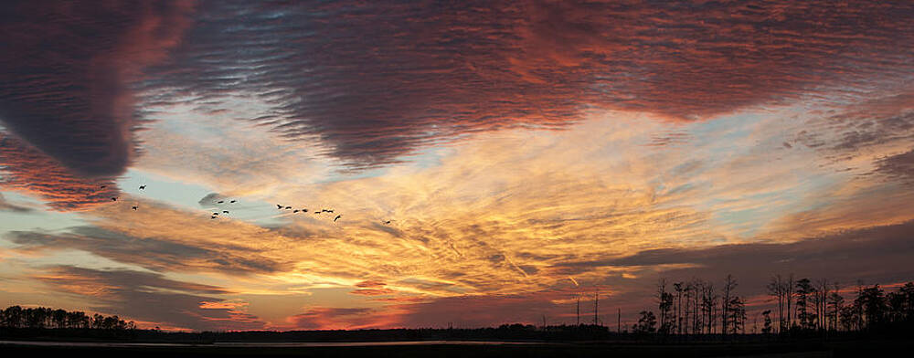  Photograph - Spectacular Sunset at Blackwater National Wildlife Refuge by Lauren Brice