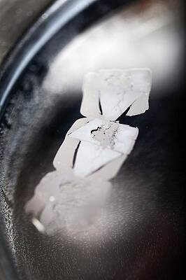 Wall Art - Photograph - Sperm Whale Tissue Analysis by Science Photo Library