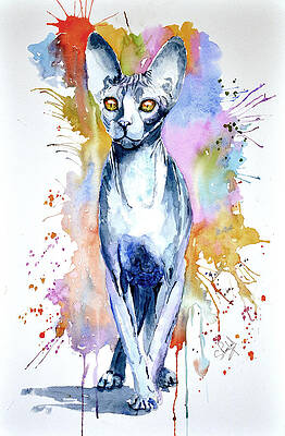 Sphinx cat by Steven Ponsford Sphinx cat by Steven Ponsford