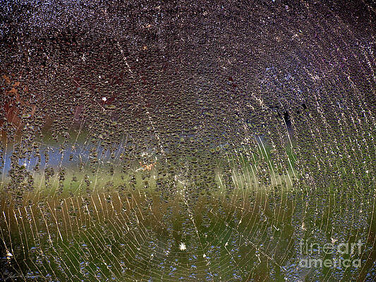 Wall Art - Photograph - Spiderweb and Window Moisture by John Harmon