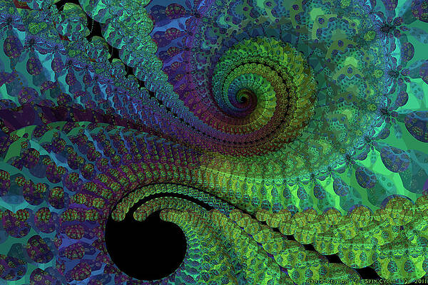 Spin Cycle by Ann Stretton Spin Cycle by Ann Stretton