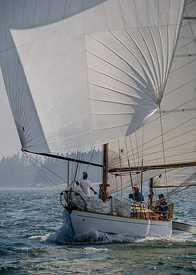 Spinnaker Run by Jennifer Kano Spinnaker Run by Jennifer Kano