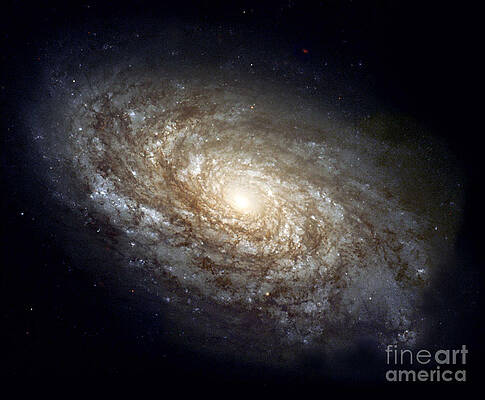 Wall Art - Photograph - Spiral Galaxy Ngc 4414 by Science Source