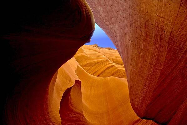 Wall Art - Photograph - Spiral Up by David Andersen