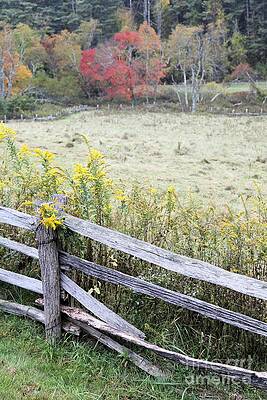 Wall Art - Photograph - Split Rail Fence and Fall foilage by John Harmon