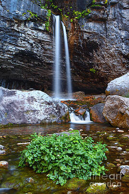 Wall Art - Photograph - Spouting Rock by Bill Singleton