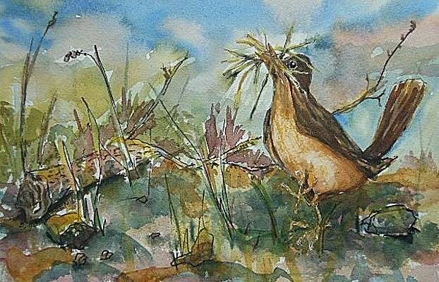 Spring Robin by Barbara McGeachen Spring Robin by Barbara McGeachen