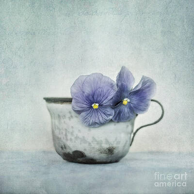 Wall Art - Photograph - Spring Blues With A Hint Of Yellow by Priska Wettstein