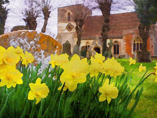 Wall Art - Photograph - Spring Daffodils by Mark Llewellyn