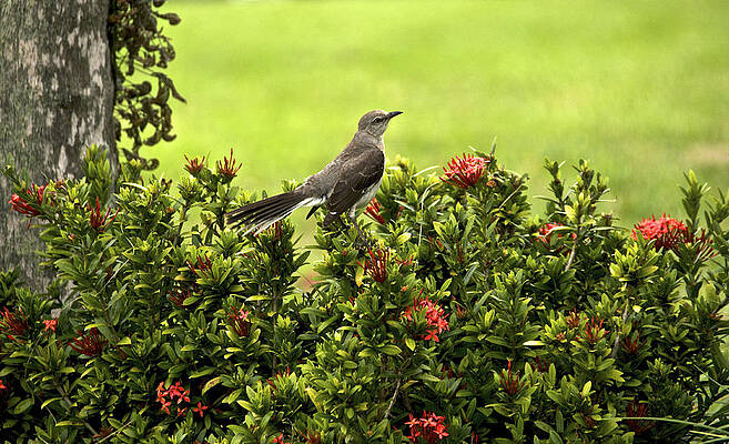 Wall Art - Photograph - Spring Day by Kathi Isserman