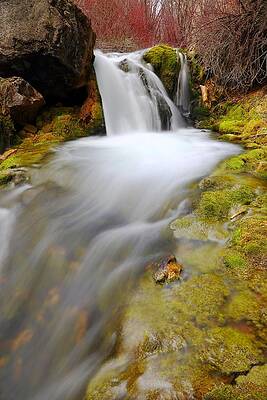 Wall Art - Photograph - Spring Falls by David Andersen