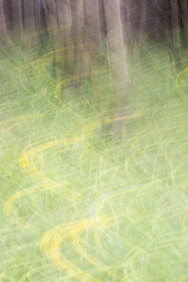 Wall Art - Photograph - Spring Fling by Deborah Hughes