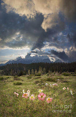 Spring Fling by Misty Bellevue
