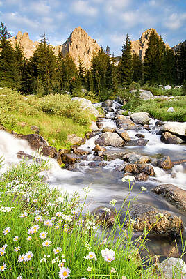 Wall Art - Photograph - Spring Flowers And Flowing Water by Josh Miller