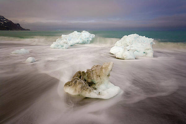 Wall Art - Photograph - Spring Glacial Ice Along St Andrews Bay by Yva Momatiuk John Eastcott