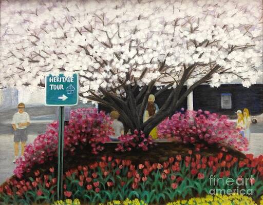 Spring in the South by M J Venrick Spring in the South by M J Venrick