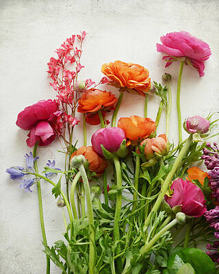 Wall Art - Photograph - Spring Joy by Lupen Grainne
