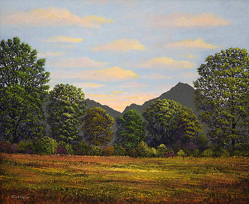 Wall Art - Painting - Spring Meadow At Sutter Buttes by Frank Wilson