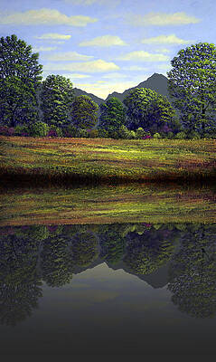 Wall Art - Photograph - Spring Meadow At Sutter Buttes Reflection by Frank Wilson