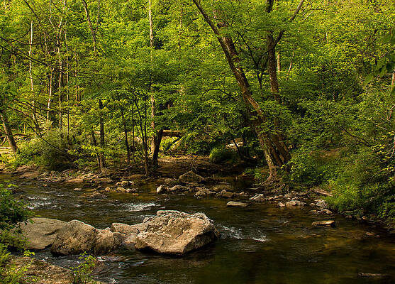 Wall Art - Photograph - Middle Patuxent River by Kathi Isserman