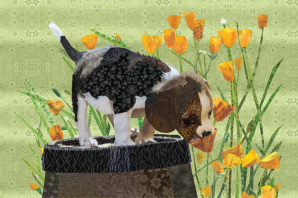 Spring Pup by Robin Morgan Spring Pup by Robin Morgan
