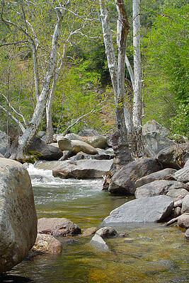 Spring River Flow by Noa Mohlabane Spring River Flow by Noa Mohlabane
