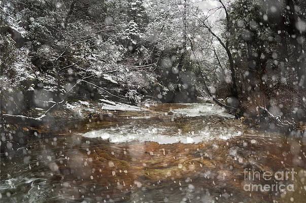 Wall Art - Photograph - Spring Snowfall On Berry Creek by Ron Sanford