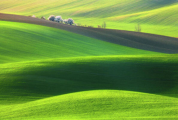 Wall Art - Photograph - Spring Time... by Krzysztof Browko