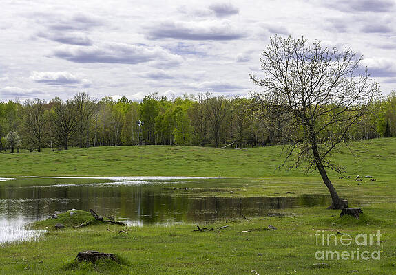Wall Art - Photograph - Spring Time Machine by Dan Hefle