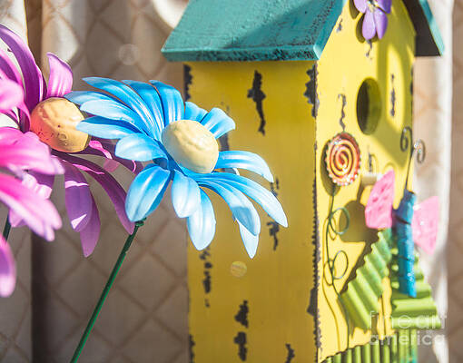 Wall Art - Photograph - Spring Window Display by Cheryl Baxter