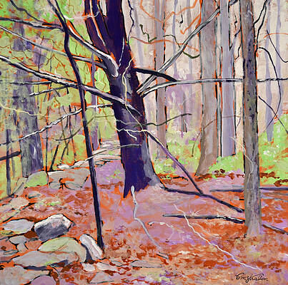 Spring Woods by Thomas Stratton Spring Woods by Thomas Stratton