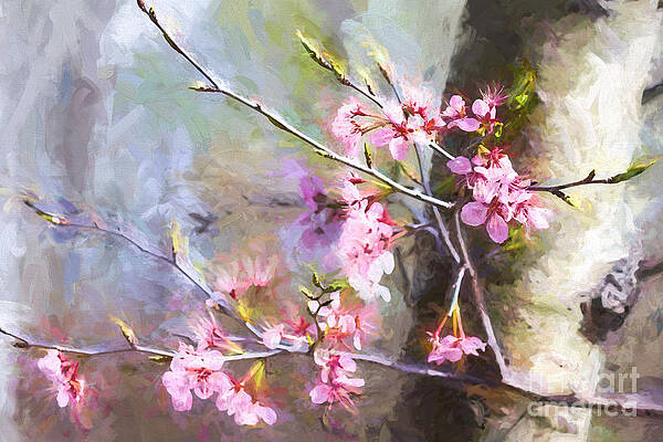 Wall Art - Photograph - Spring's Awaited Color by Lori Dobbs