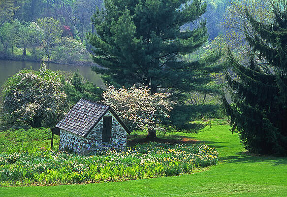 Springtime in meadow with spring house by Blair Seitz Springtime in meadow with spring house by Blair Seitz