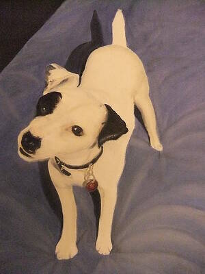 Spud by Lynne McQueen Spud by Lynne McQueen