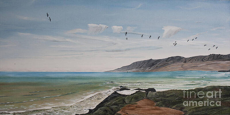 Squadron of Pelicans Central Califonia by Ian Donley Squadron of Pelicans Central Califonia by Ian Donley