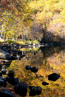 Squantz Pond Reflections by Kevin Wheeler Squantz Pond Reflections by Kevin Wheeler