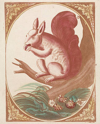 Wall Art - Drawing - Squirrel On A Tree Branch, Anonymous, Johan Teyler by Johan Teyler