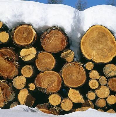 Stacked timber by Ulrich Kunst And Bettina Scheidulin Stacked timber by Ulrich Kunst And Bettina Scheidulin